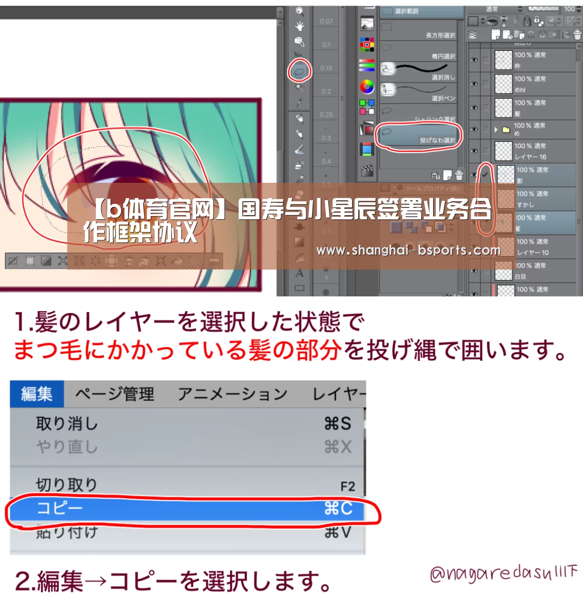 b体育电脑版