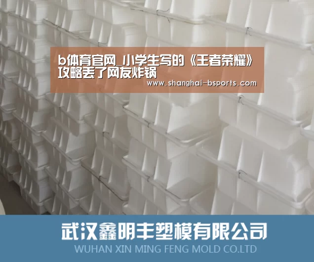 b体育官网_小学生写的《王者荣耀》攻略丢了网友炸锅(图1)