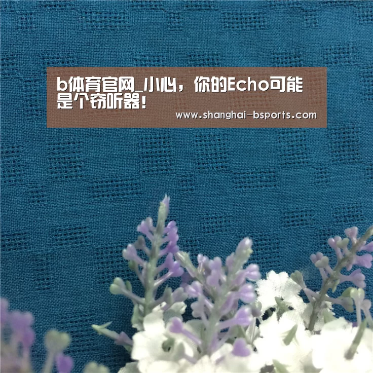 b体育官网_小心,你的Echo可能是个窃听器!(图3) b体育官网_小心,你的Echo可能是个窃听器!(图3)