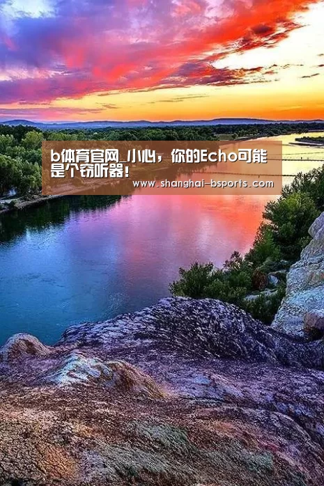 b体育官网_小心,你的Echo可能是个窃听器!(图2) b体育官网_小心,你的Echo可能是个窃听器!(图2)