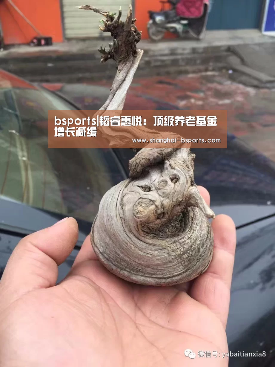 bsports|韬睿惠悦：顶级养老基金增长减缓(图1)